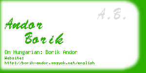 andor borik business card